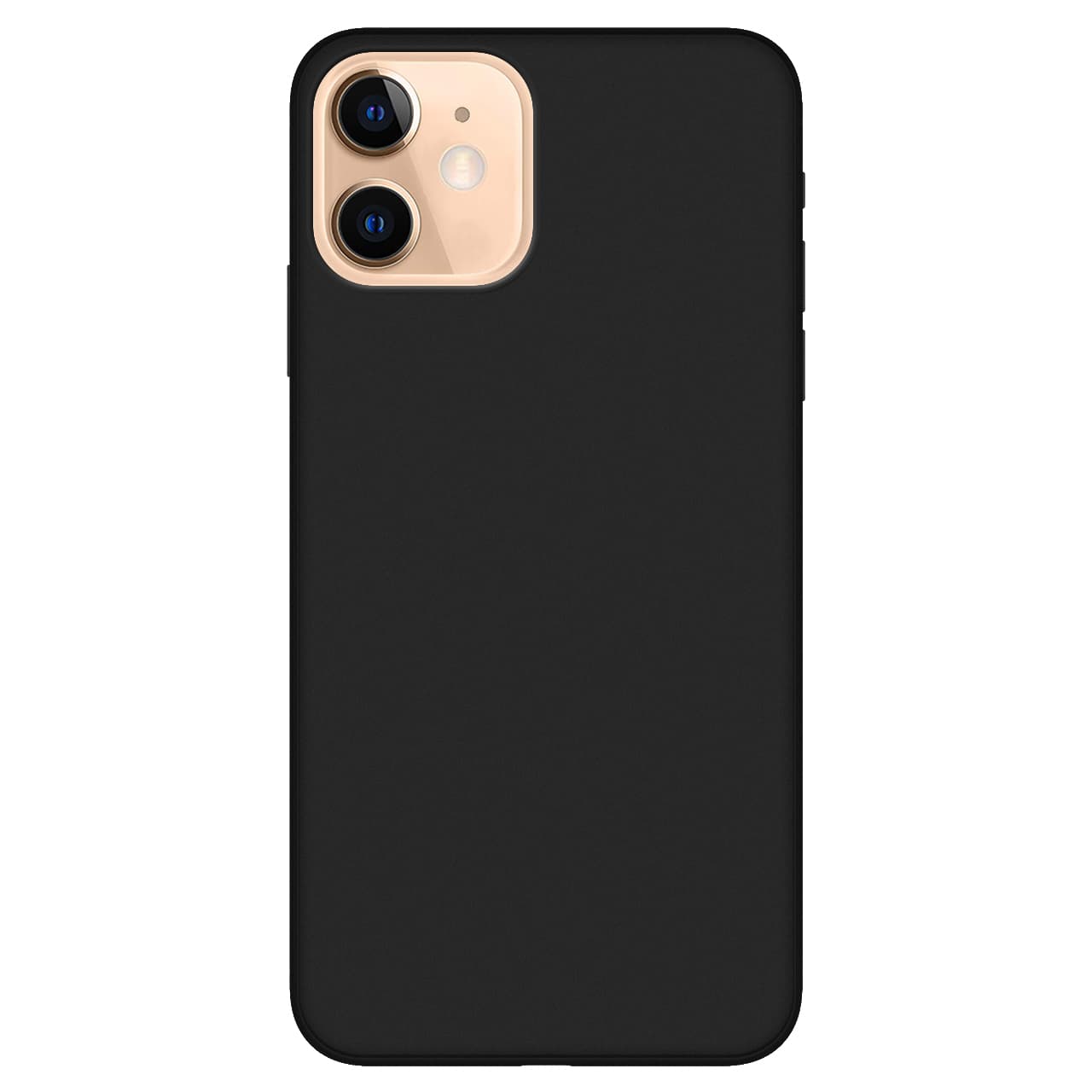 iPhone 12 Mini